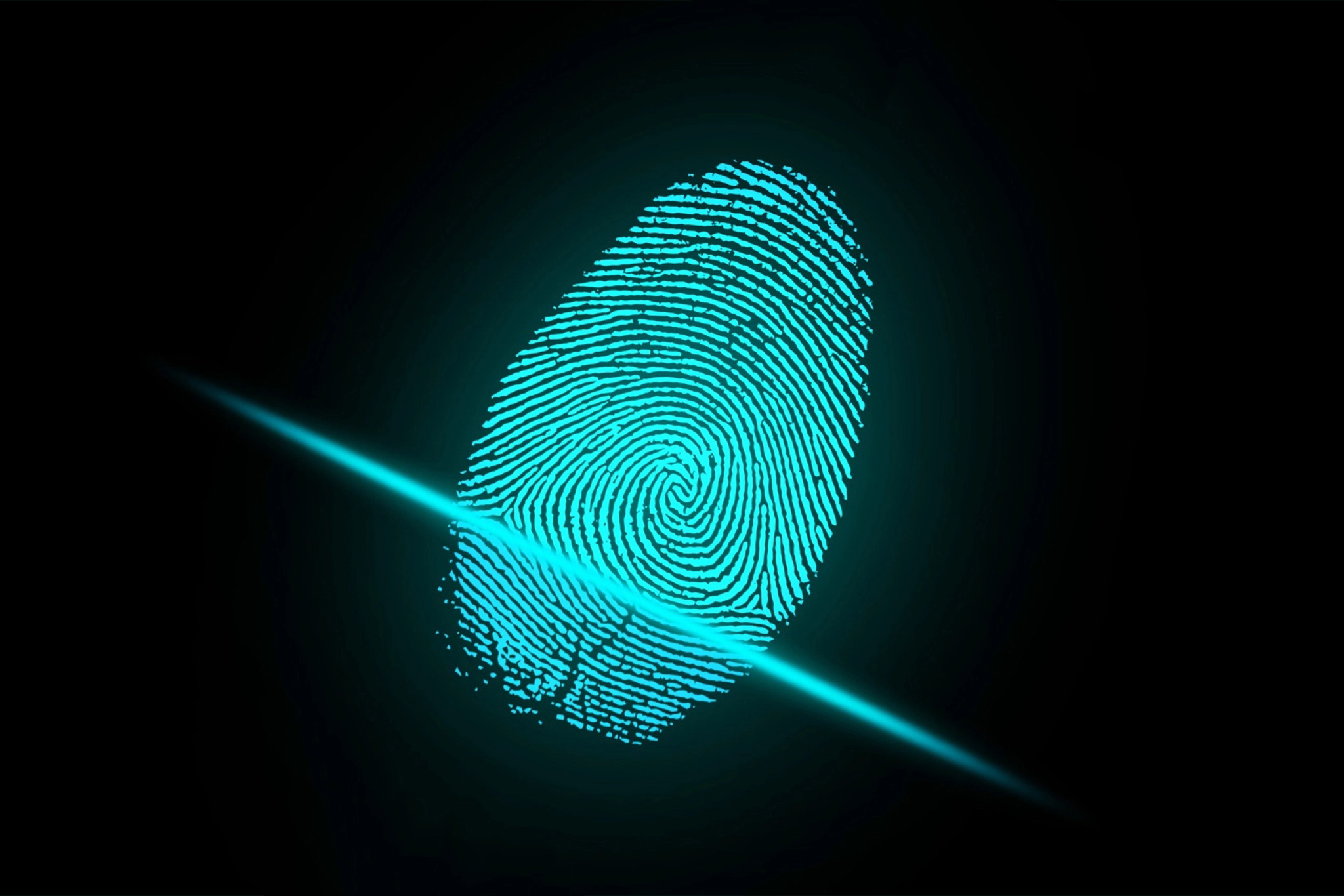 Introducing Biometric Authentication Careberry Introducing biometric authentication careberry