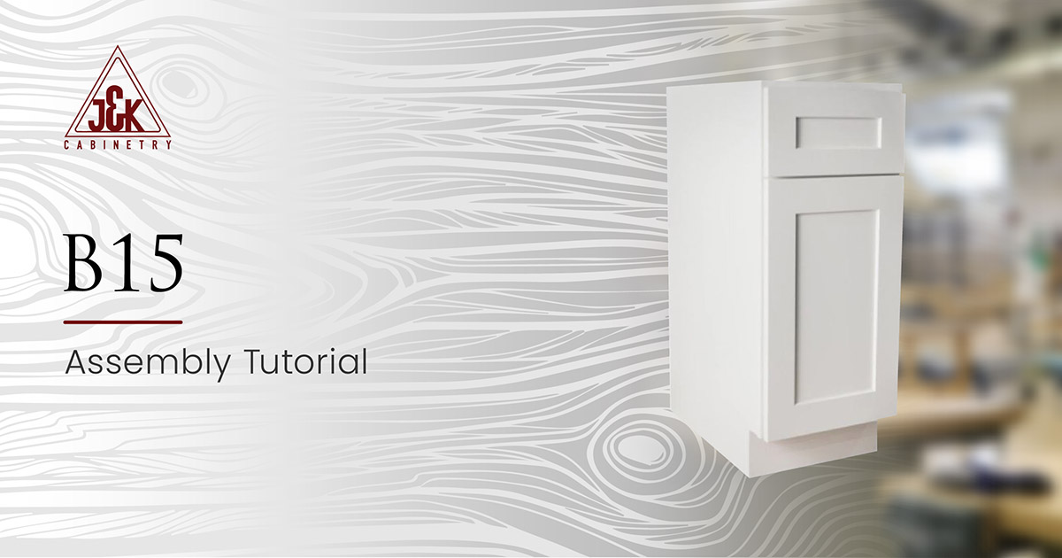 B15 J&K Assembly Video