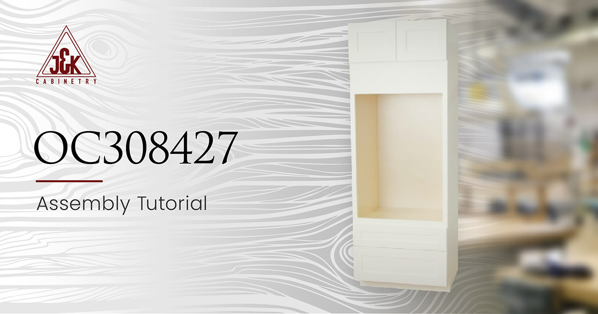 OC308427 J&K Assembly Video