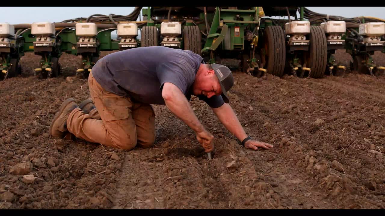 Commercial Grain Cooperative