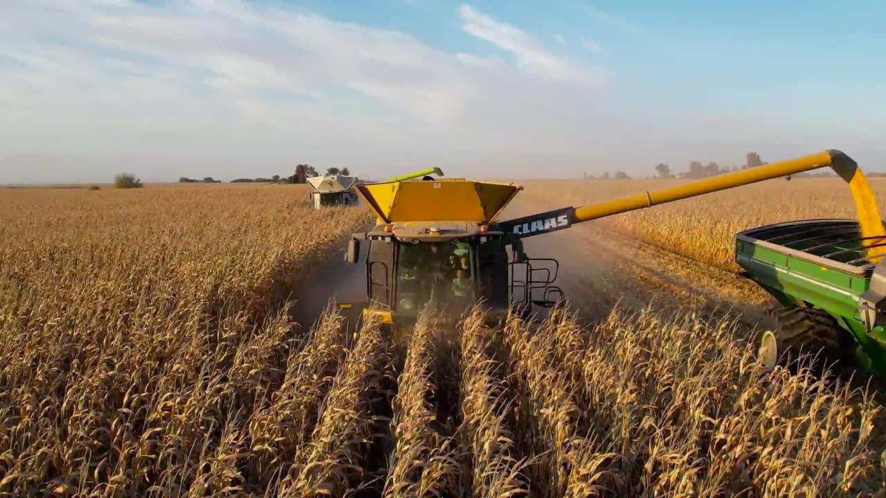 Image of Biofuel Producer