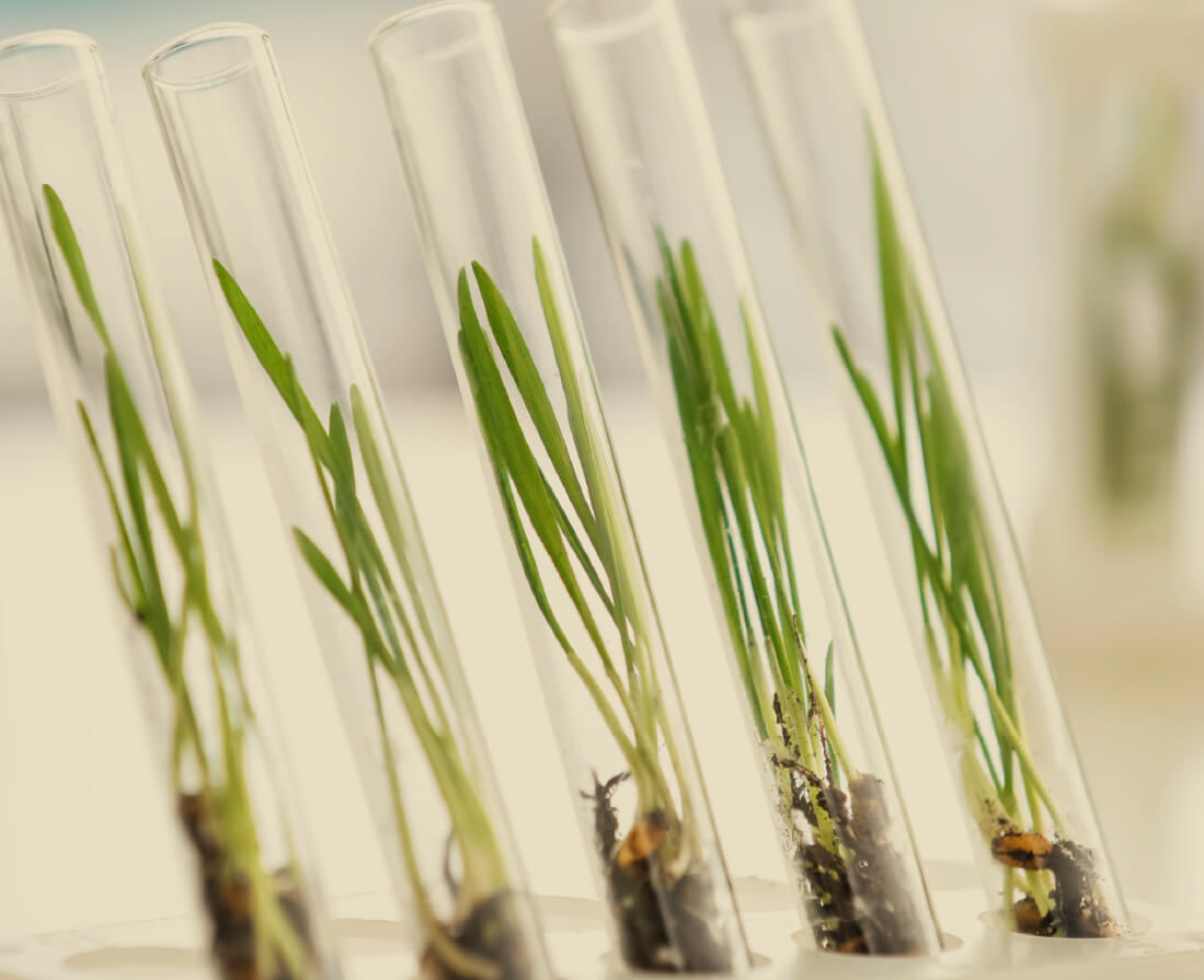 Sustainability Innovation