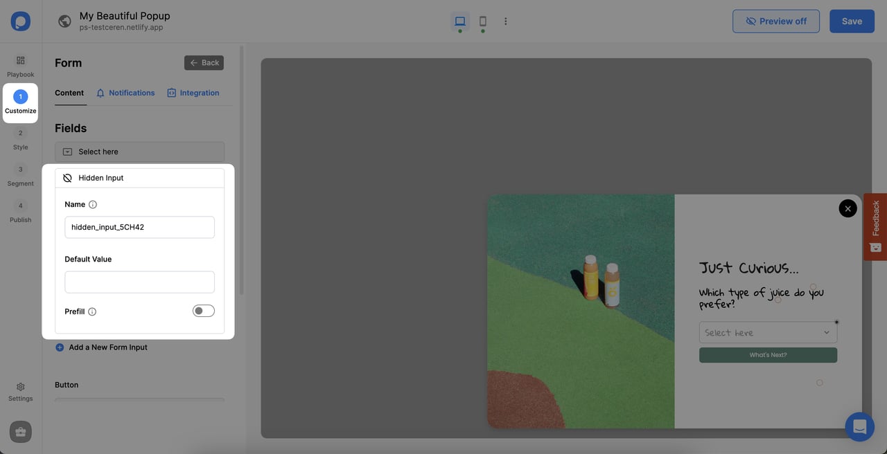 How to Add Hidden Inputs to Your Popup Campaigns?
