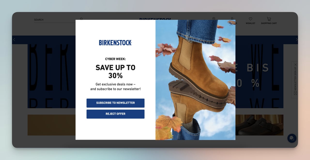 Finding Value in the Noise: What Birkenstock Price Drops Reveal About Retail