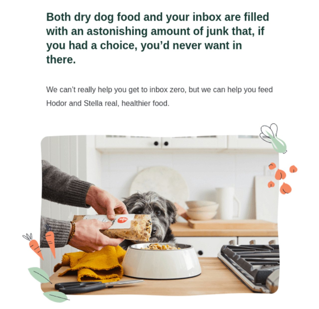 10 Funny Email Examples Use Humor for Marketing Like a Pro