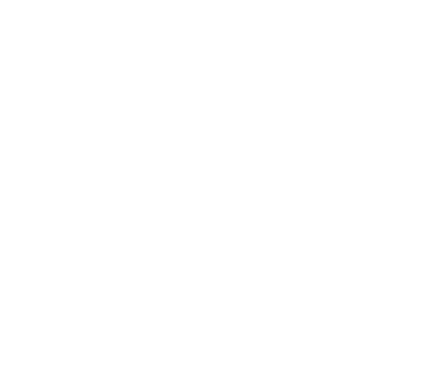 Visions du Réel