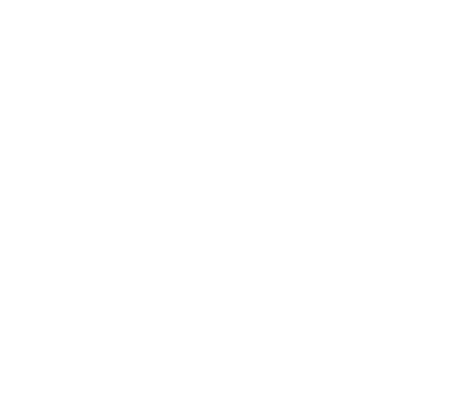 Locarno Film Festival