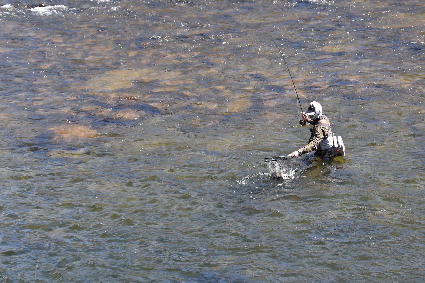 Old Dominion Trout Bum