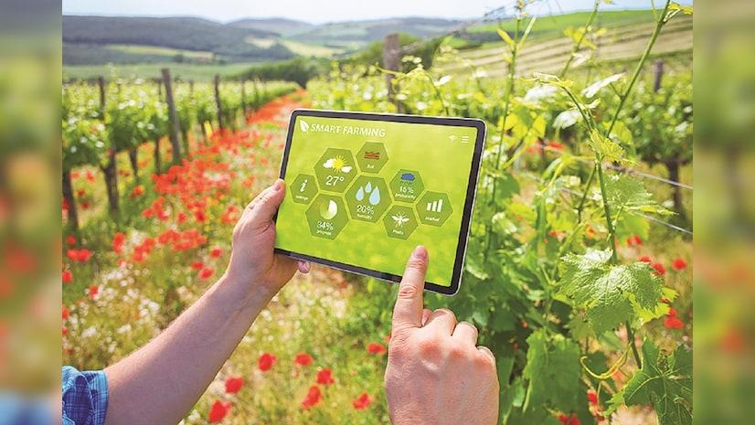 How plant sensors are improving Indian agriculture, checking waste