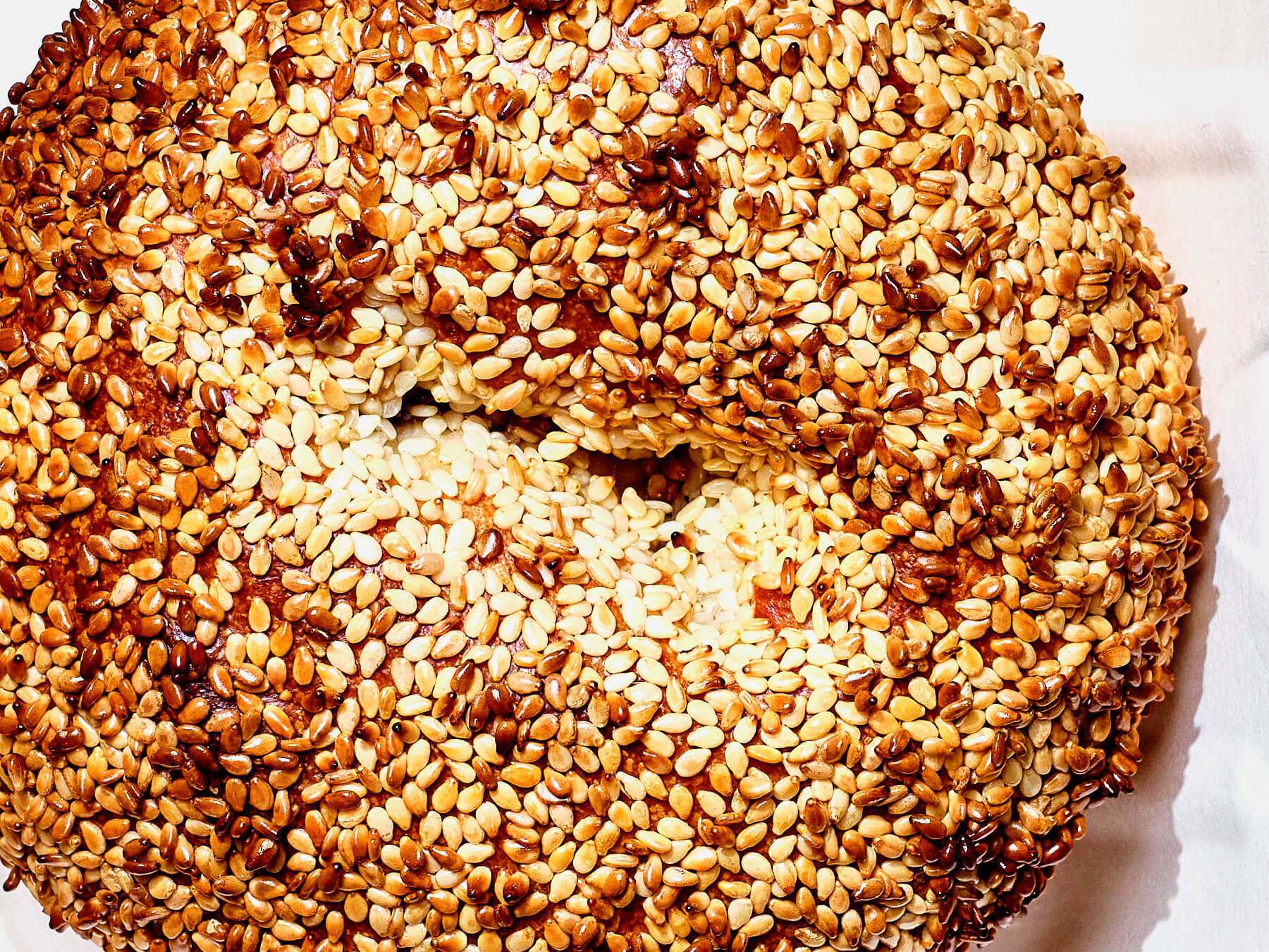 The Bagel Shop Authentic Sourdough Bagels Zurich