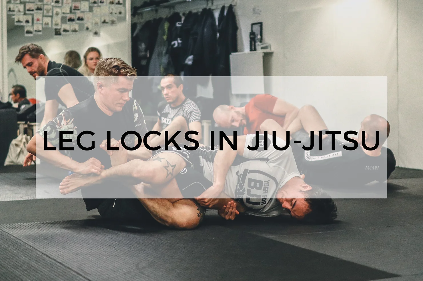 leg locks in jiujitsu