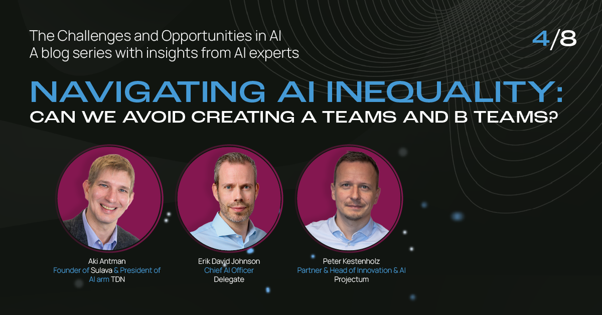 Navigating AI Inequality