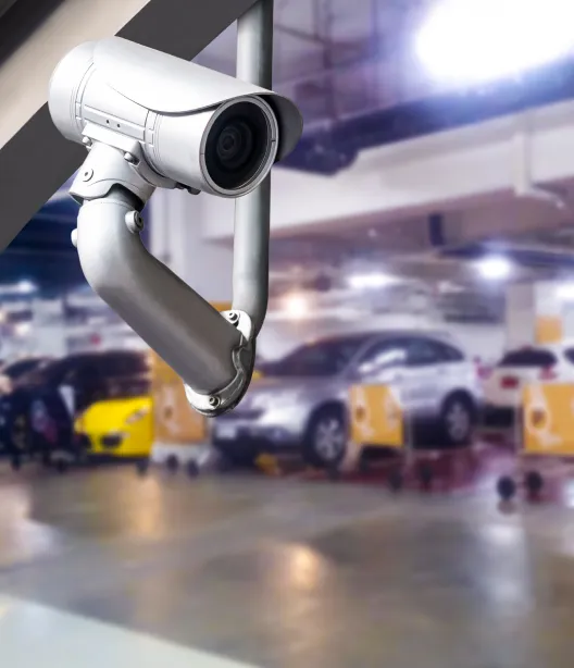 Video Analytics for Remote & Security Camera Monitoring | Dragonfruit AI