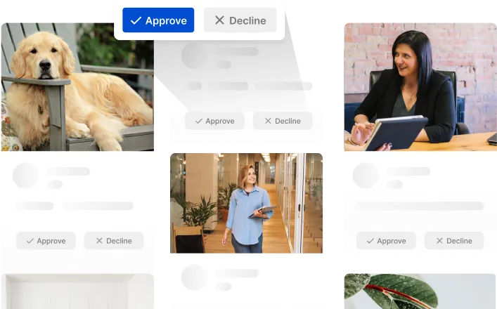 Automated and manual curation