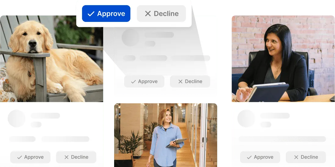 Automated and manual curation