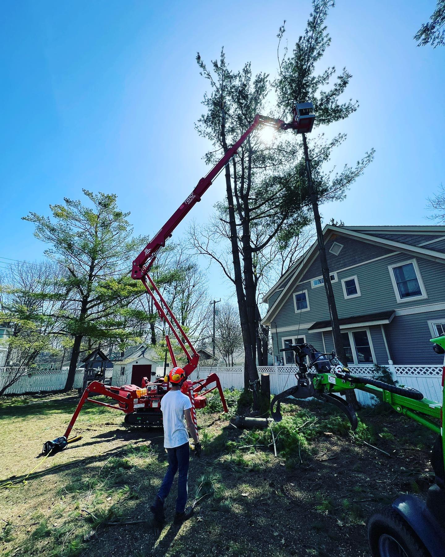 Tree Trimming Livonia MI American Made Tree Service, Inc