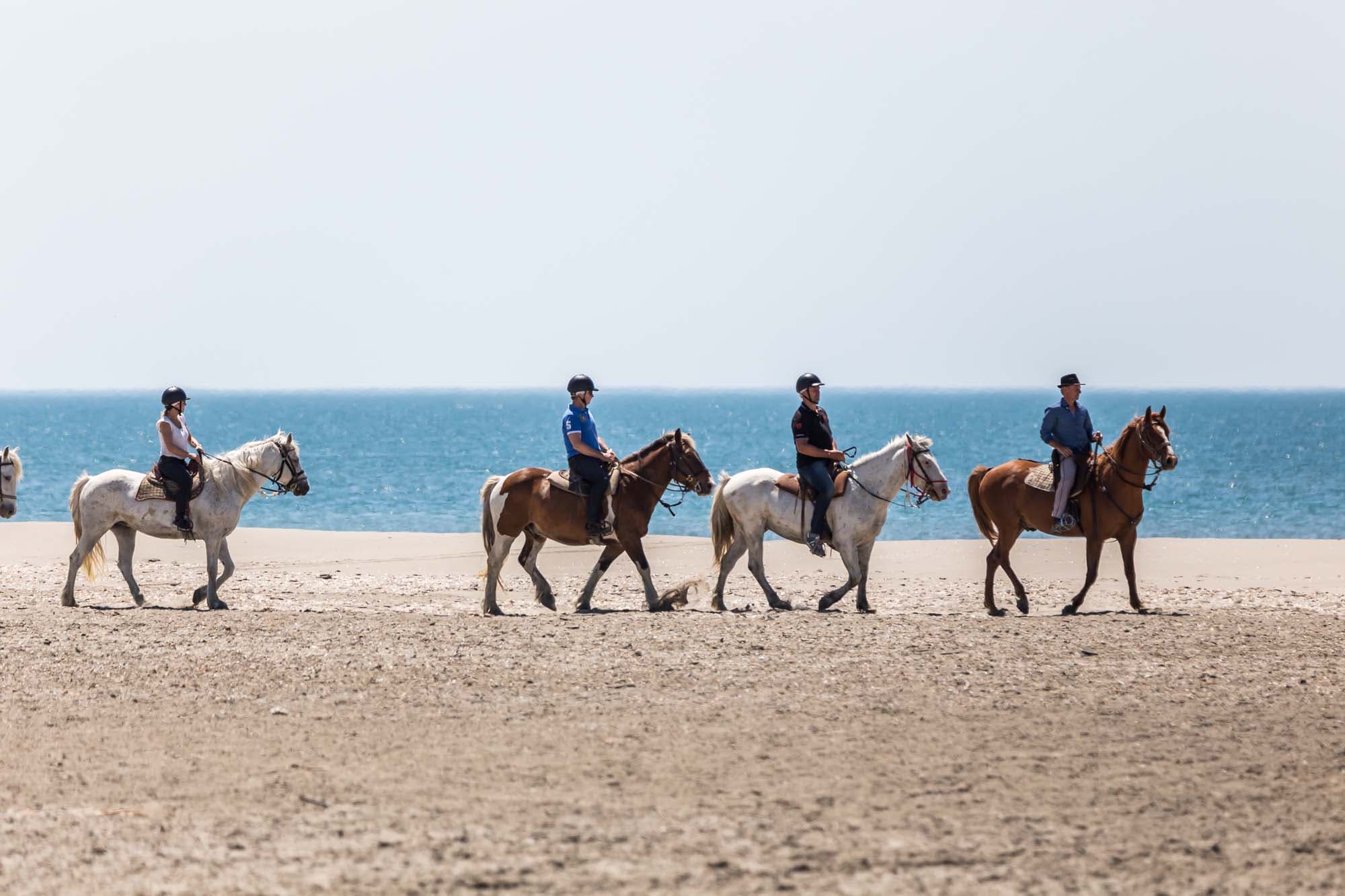 Livre En Camargue - Croix Des Gardians, Chevaux, Marais - Photo A. Parceval