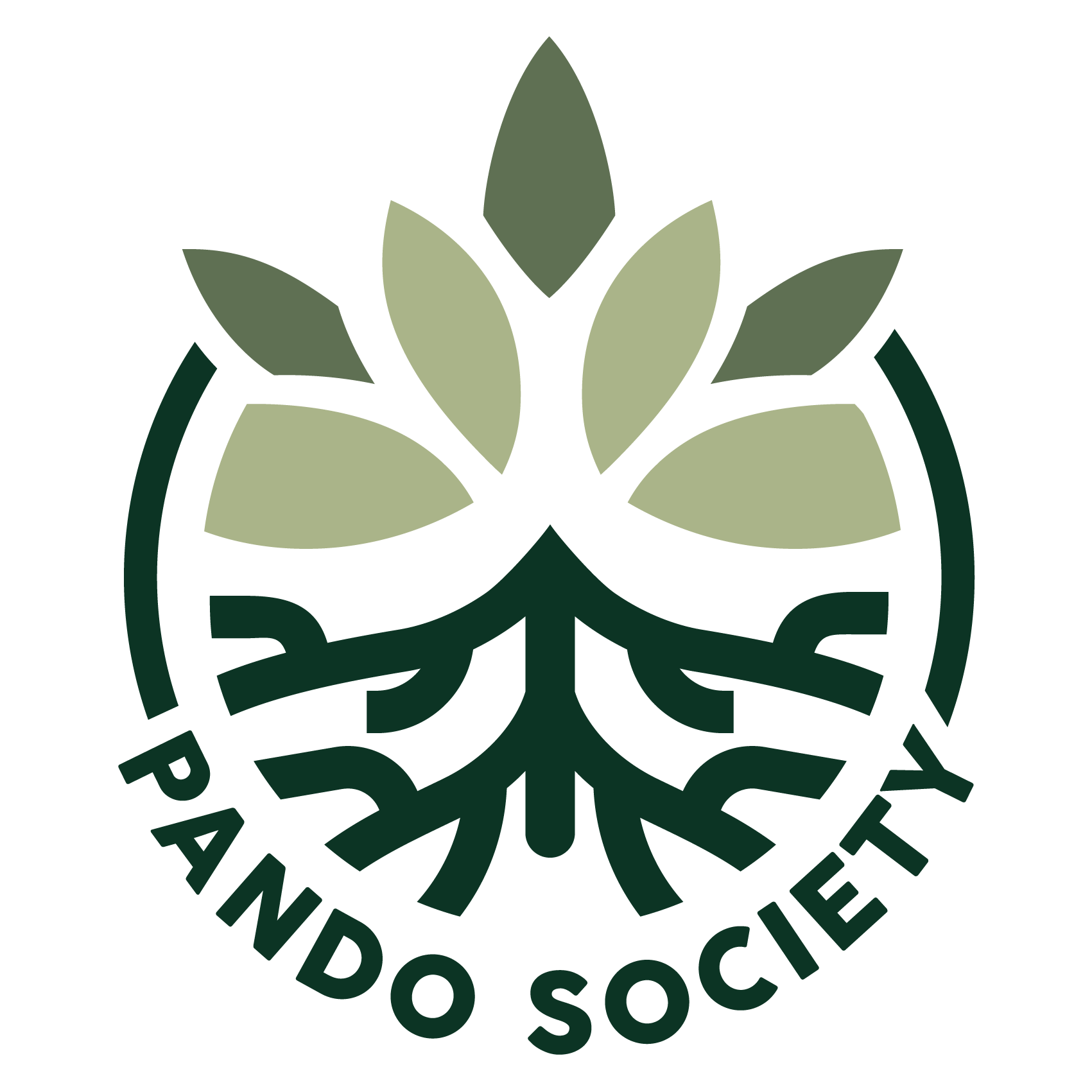 Pando Society Logo