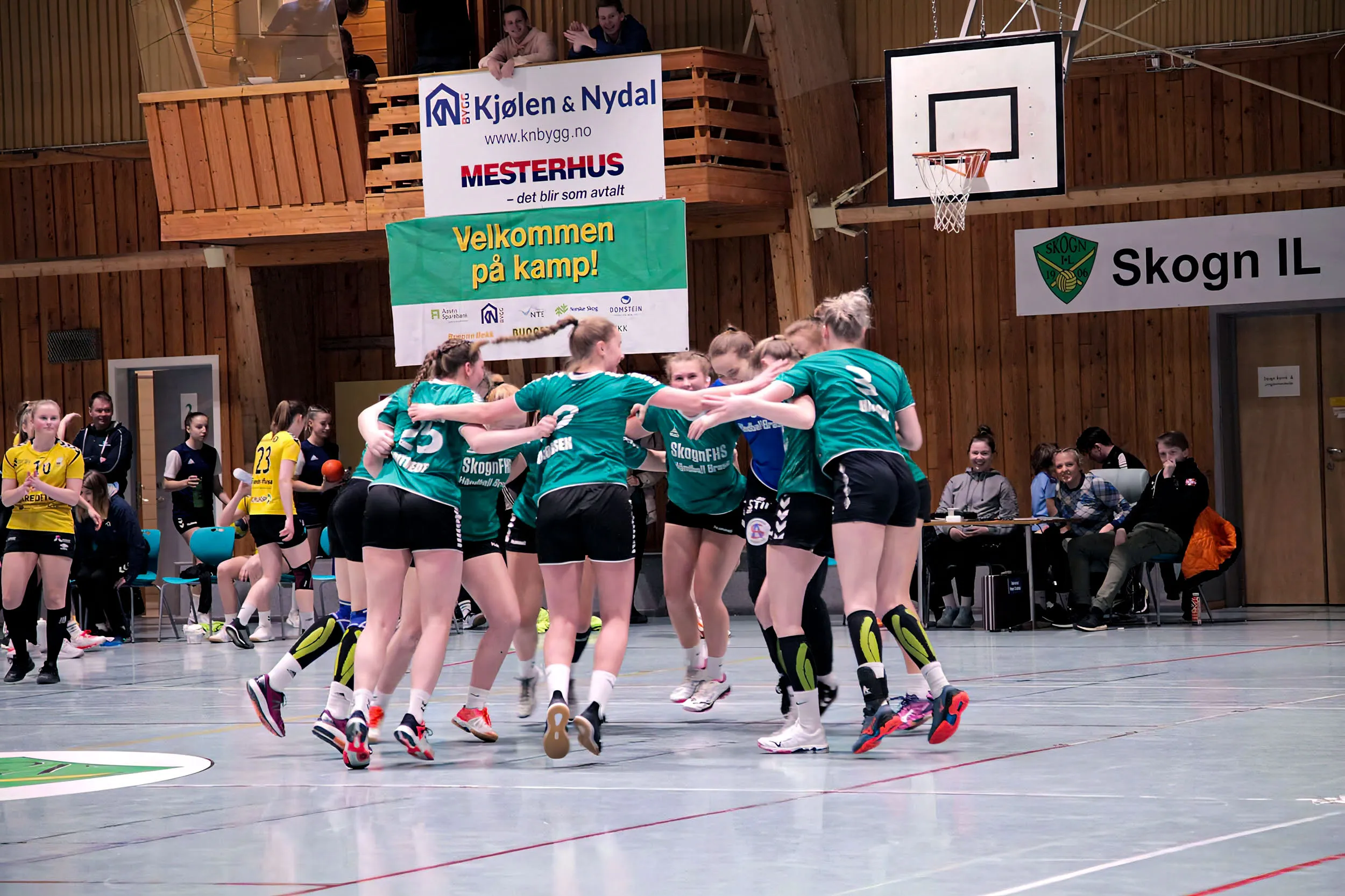 Håndball