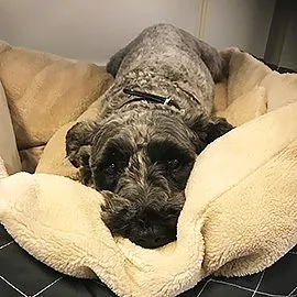 Om Skyhill - med passion för byggnadskonst då, nu och framåt