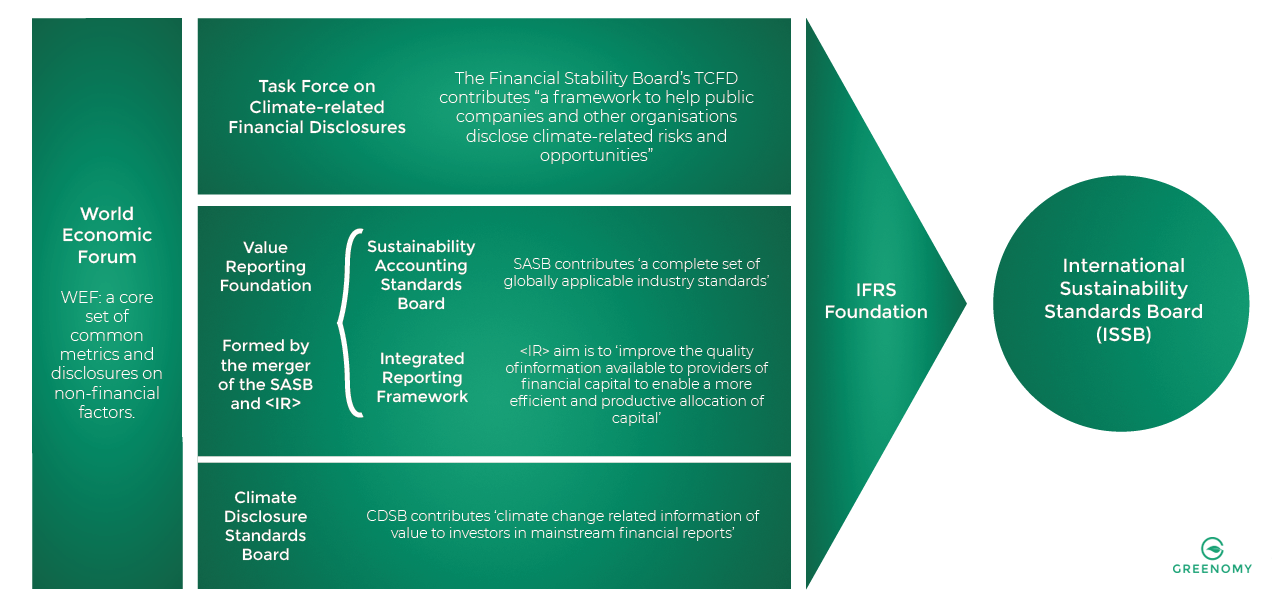 The new International Sustainability Standards Board: shaping the ...
