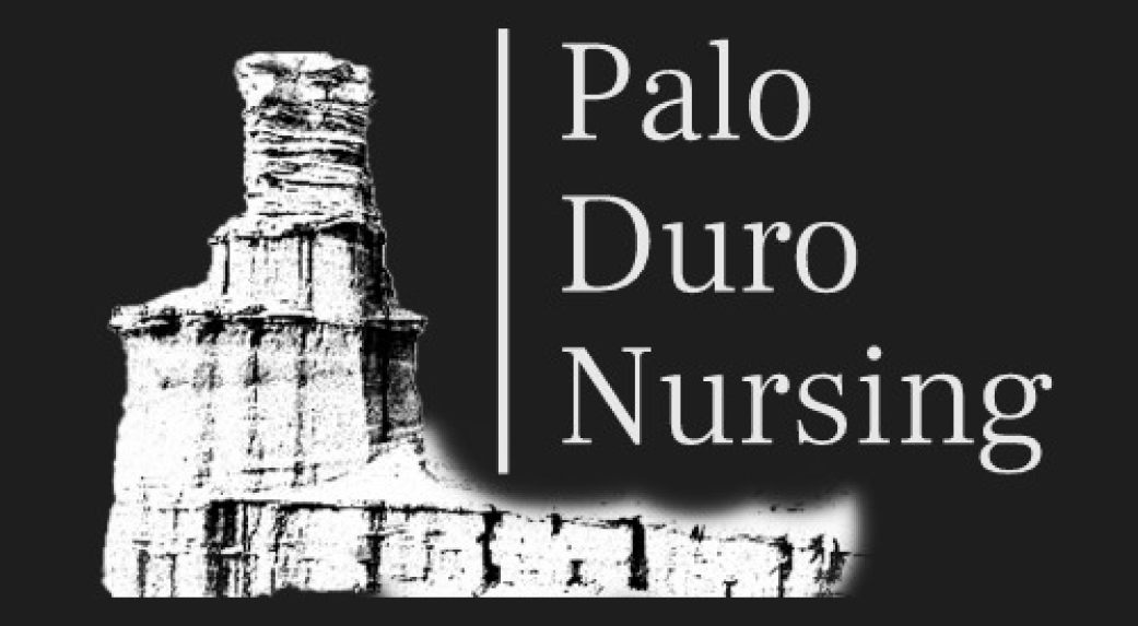 Palo Duro Nursing Primary Logo.
