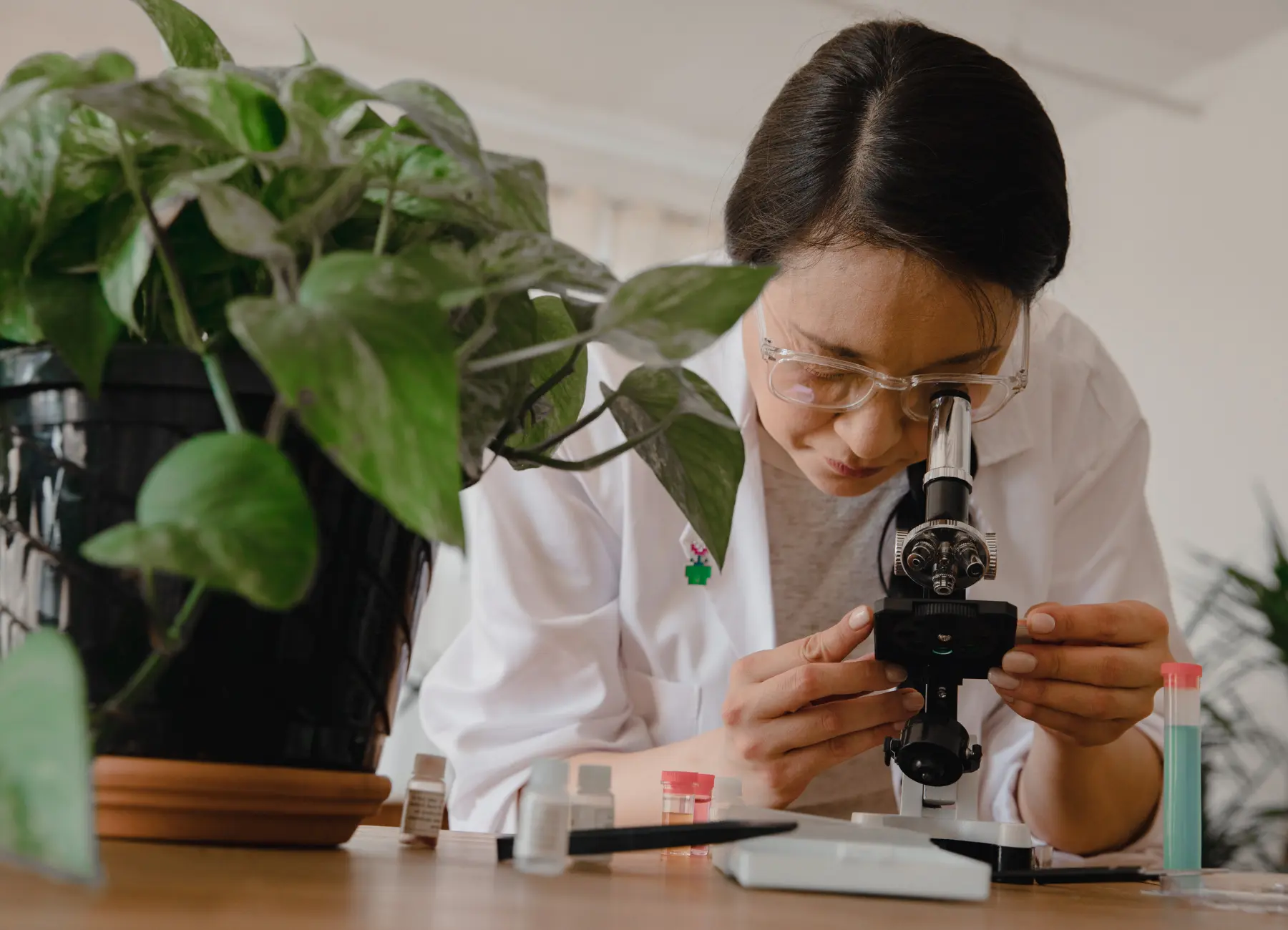 BioVaxys Acquires All Intellectual Property, Immunotherapeutics ...