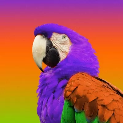 Ui Colors Good Design Tools