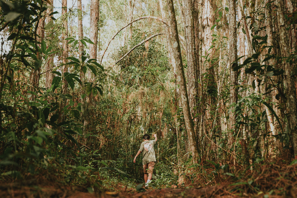 Forest Bathing: The Mindfulness Practice That Improves Mental and ...