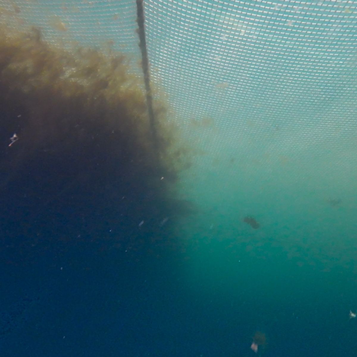 PROBOT — Profesjonelle Roboter for Havbruksnæringen