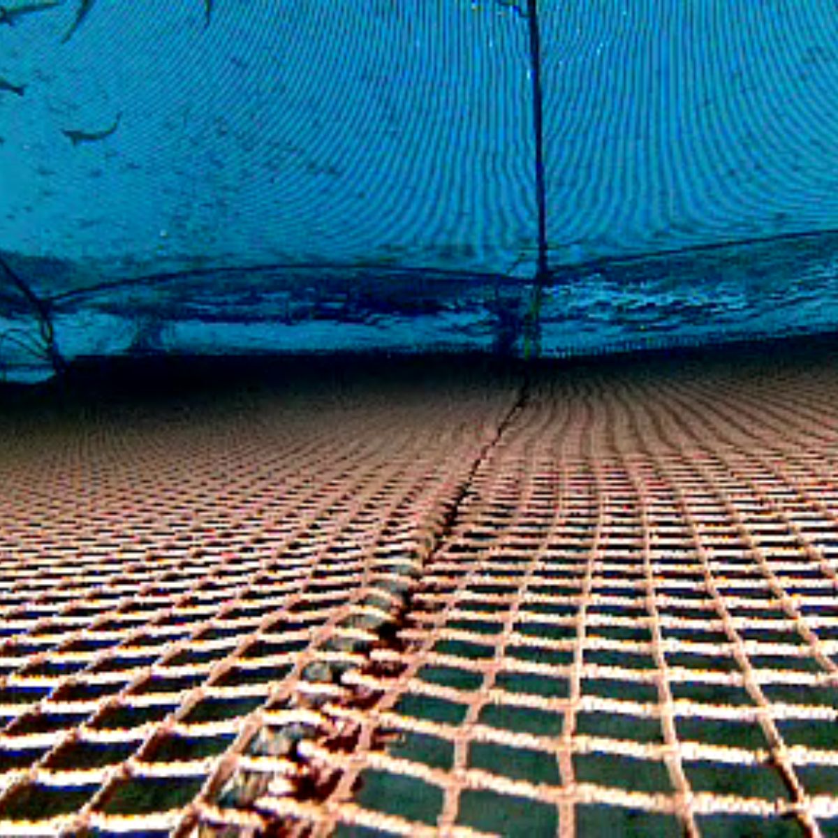 PROBOT — Profesjonelle Roboter for Havbruksnæringen