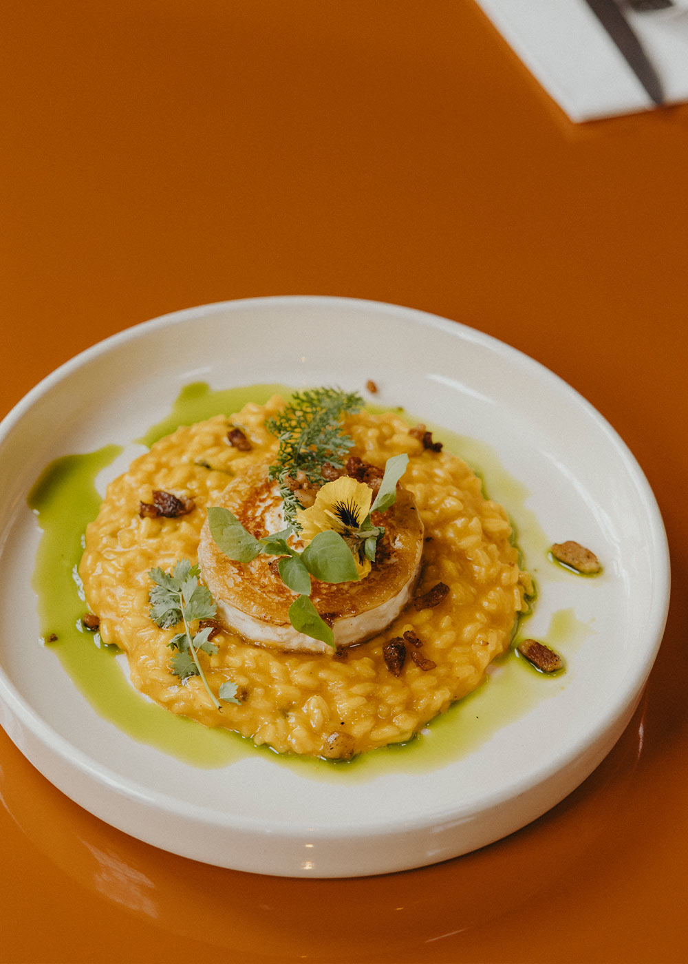 Ein Teller mit cremigem Risotto, garniert mit einem gebratenen Stück Ziegenkäse, serviert auf einem orangefarbenen Tisch.