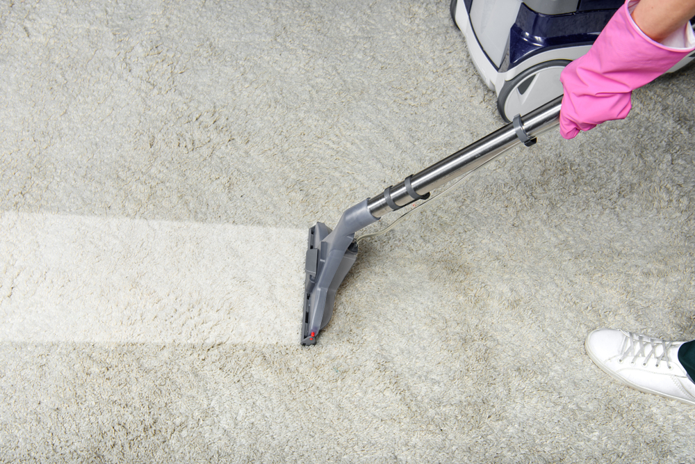 professional carpet cleaner cleaning a white carpet