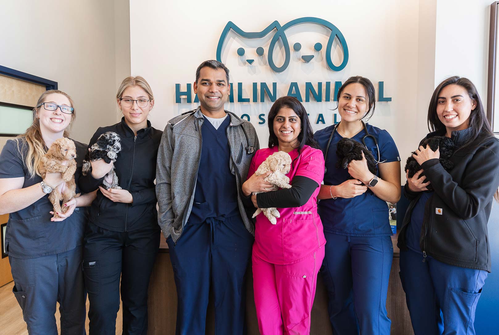 HighQuality Vet Hospital in Winter Garden, FL Hamlin Animal Hospital