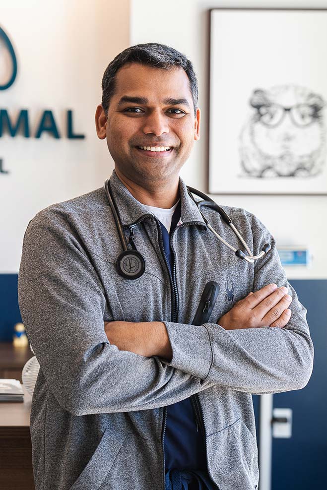 HighQuality Vet Hospital in Winter Garden, FL Hamlin Animal Hospital