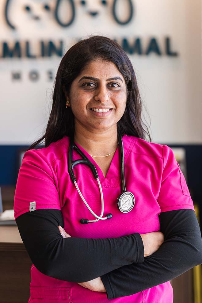 HighQuality Vet Hospital in Winter Garden, FL Hamlin Animal Hospital