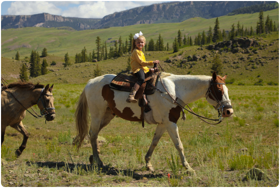 Outdoor Activities & Things to Do in Creede Colorado