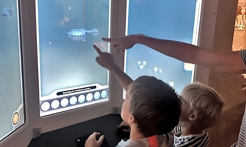 Children use an interactive installation showing an underwater scene