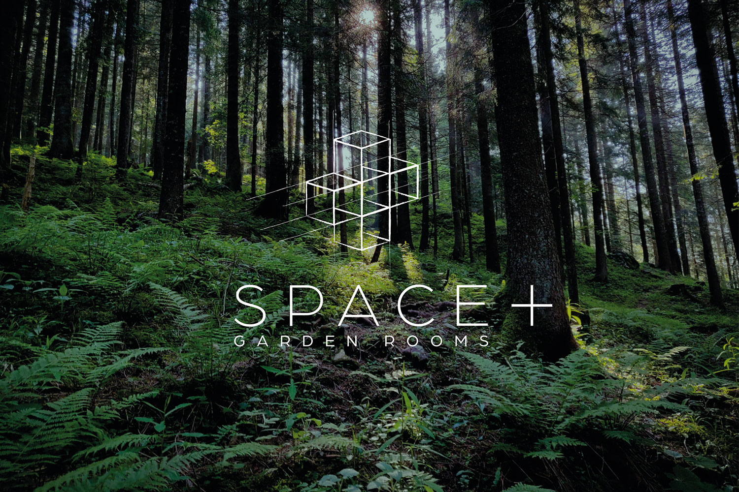 Design & marketing – Space+ Garden Rooms - by Rick Hincks