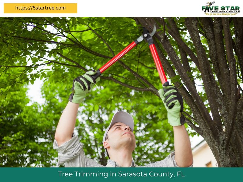 Five Star Tree Service LLC