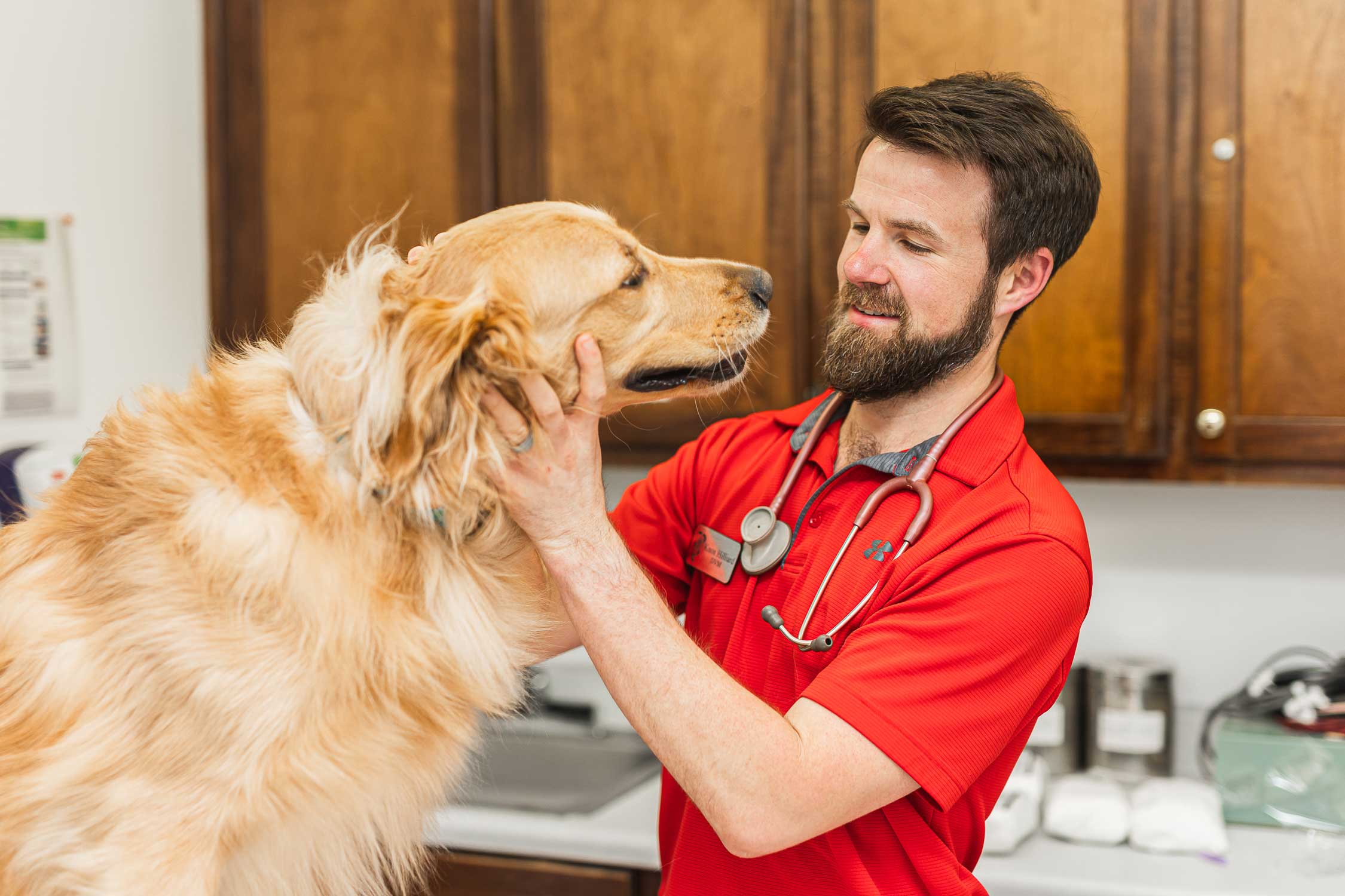 HighQuality Vet Hospital in Warner Robins, GA Houston Veterinary Clinic