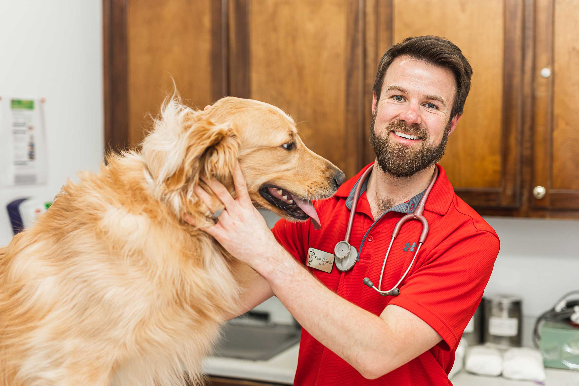 HighQuality Spay & Neuter in Warner Robins, GA Houston Veterinary Clinic