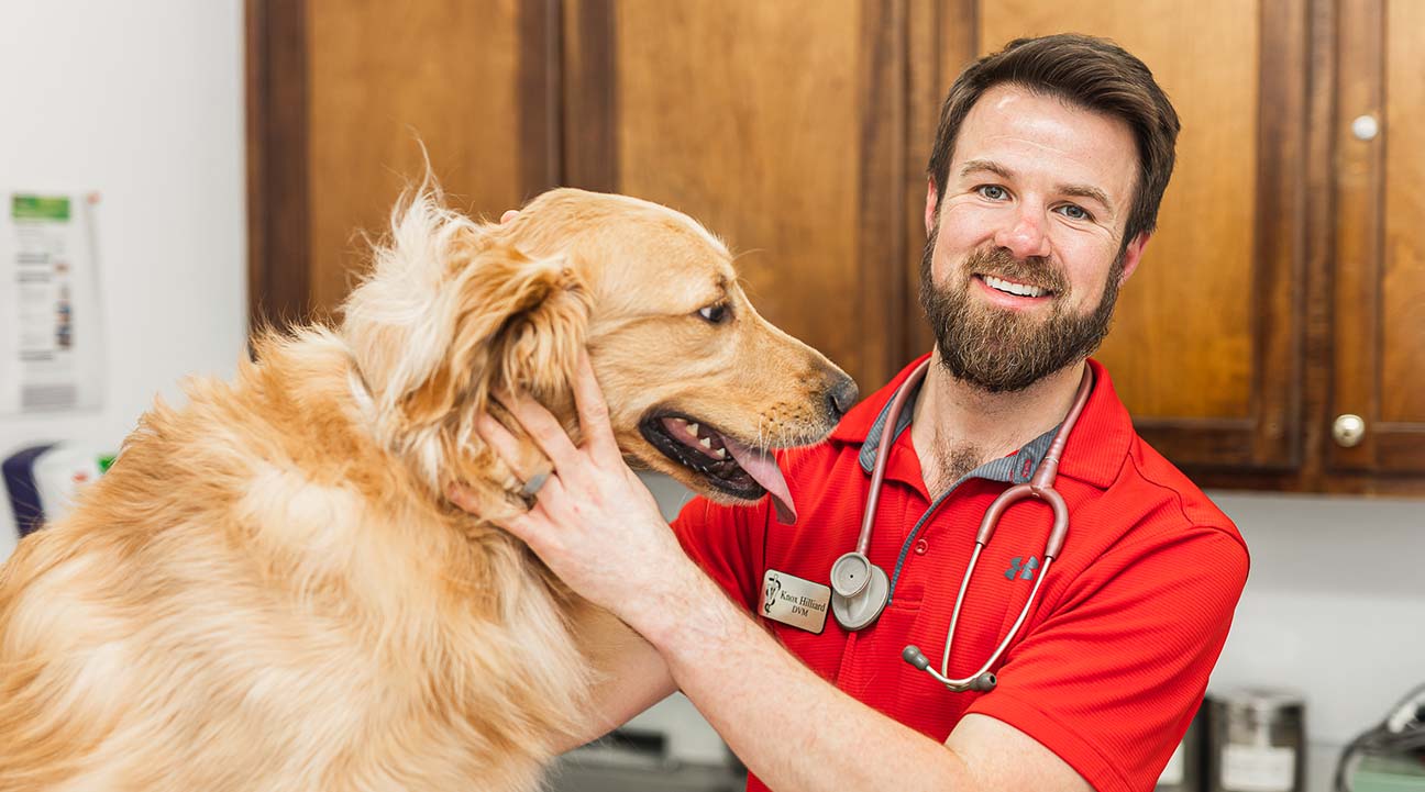 HighQuality Pet Examinations In Warner Robins Houston Veterinary Clinic
