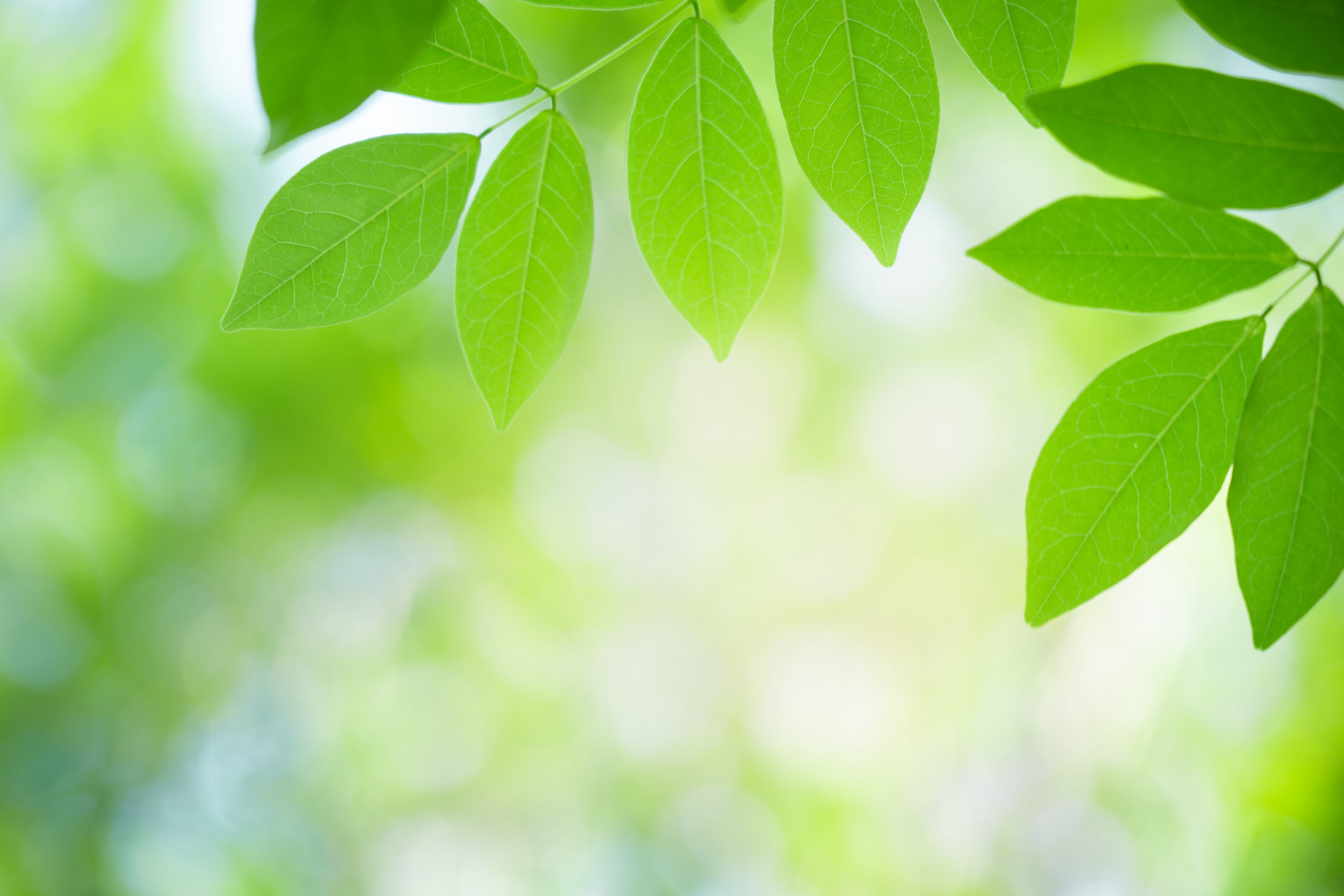 General Dentistry Moss Grove Dental Practice, Kingswinford