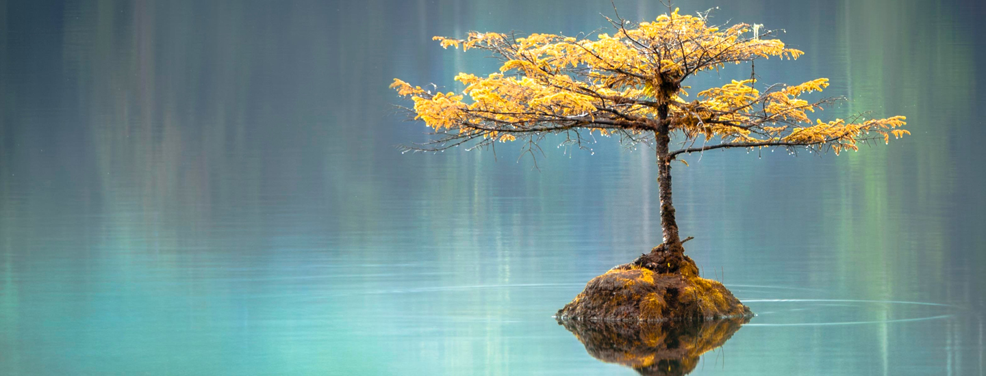 menopause-irritability-and-natural-remedies