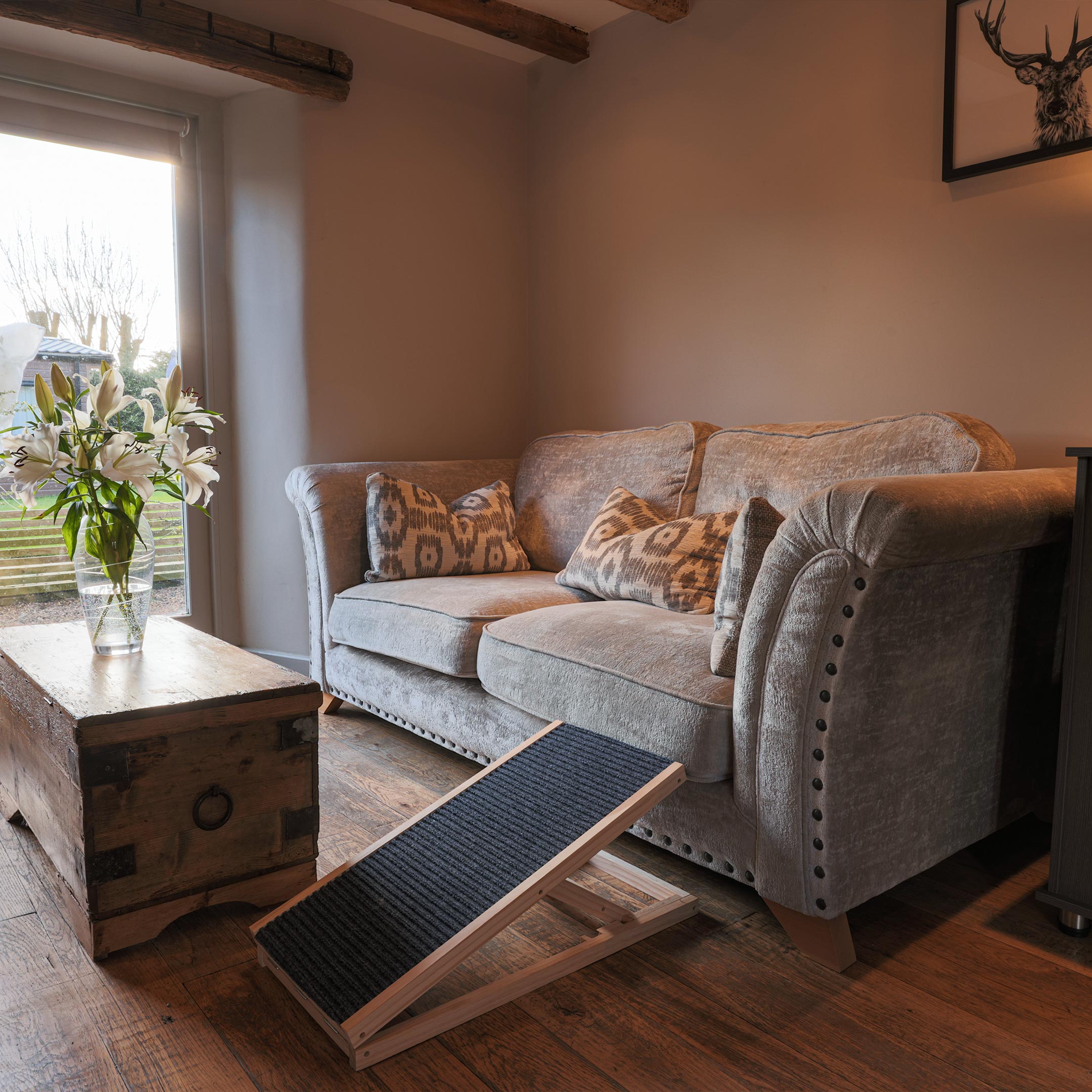 Sausage Dog Sanctuary Hotel Gallery