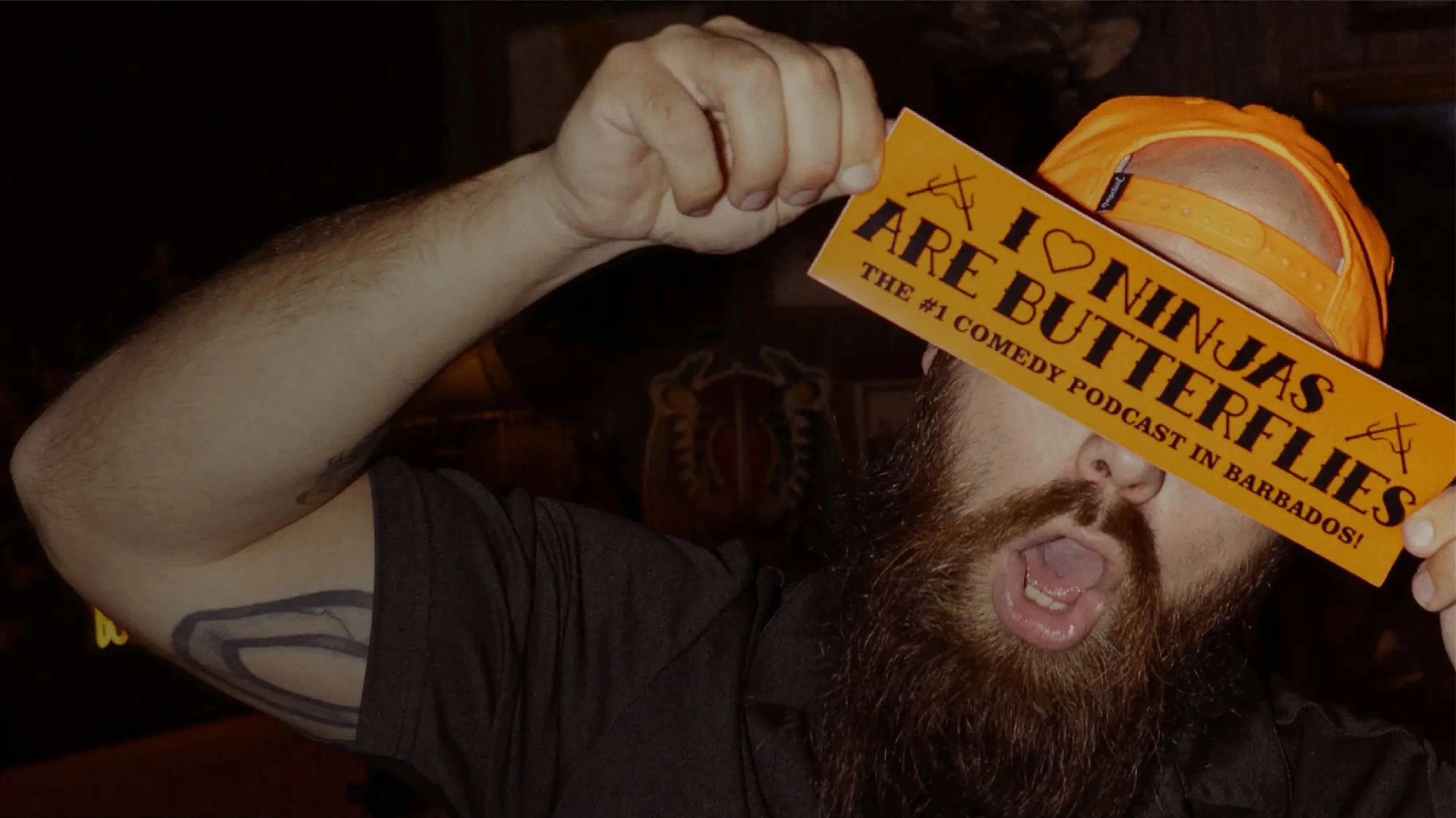 Ninjas are Butterflies Sunday Cool