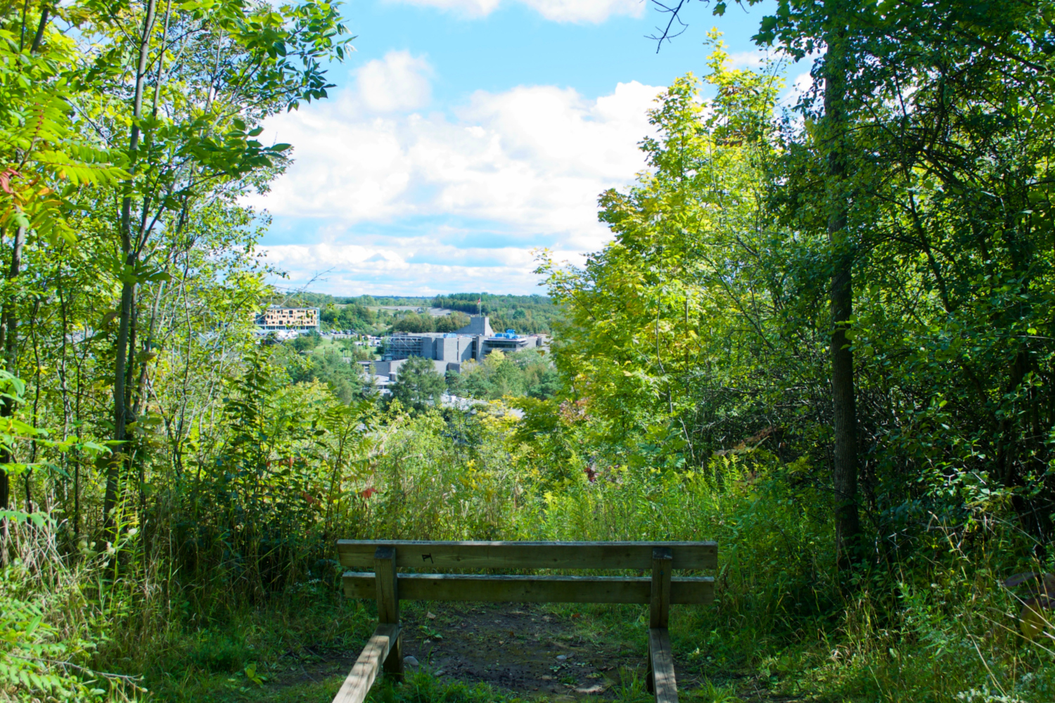 Top Five Hiking Trails in the Peterborough and Kawartha Area