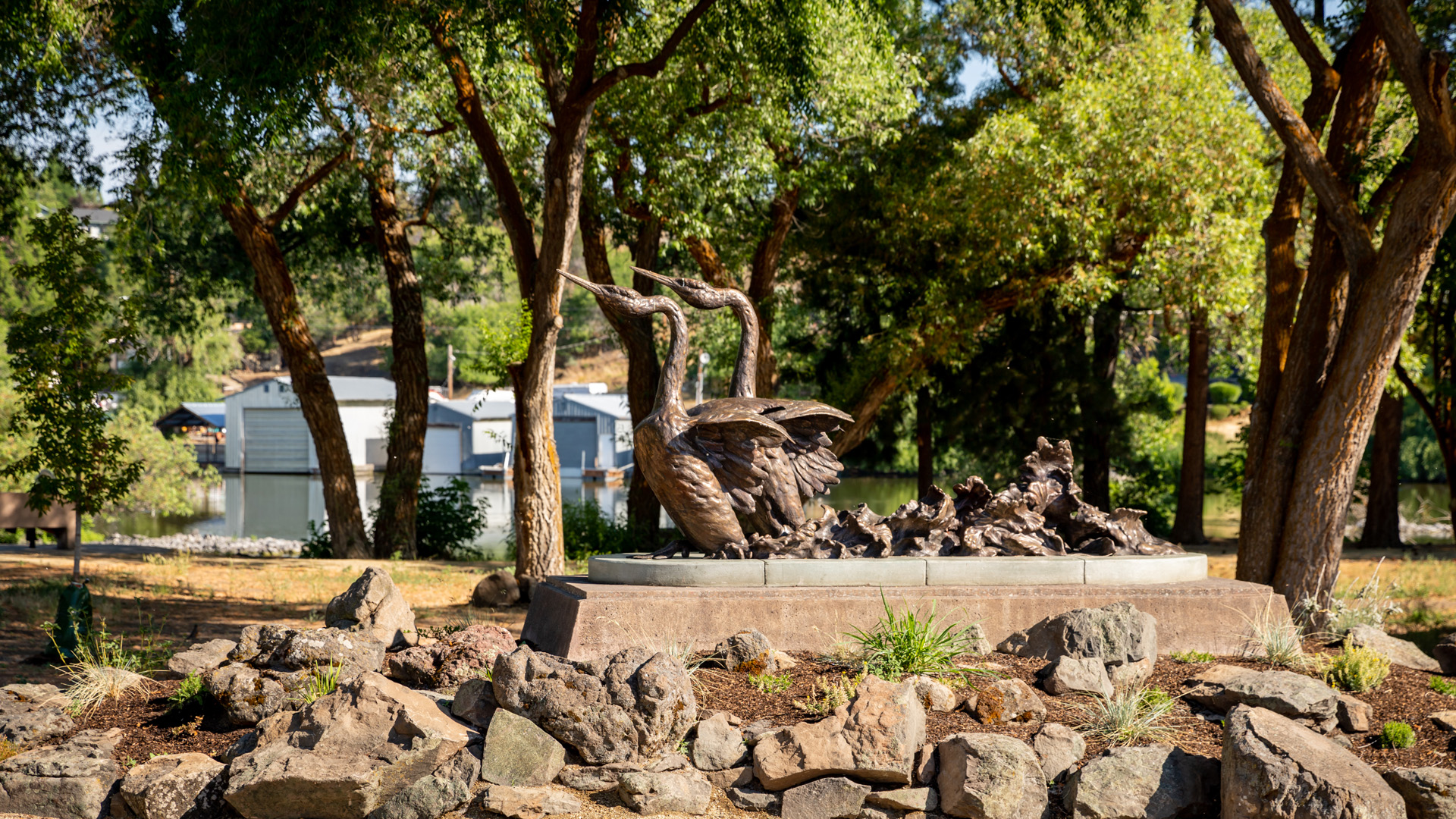 Learn How to Discover Bird Watching in Klamath