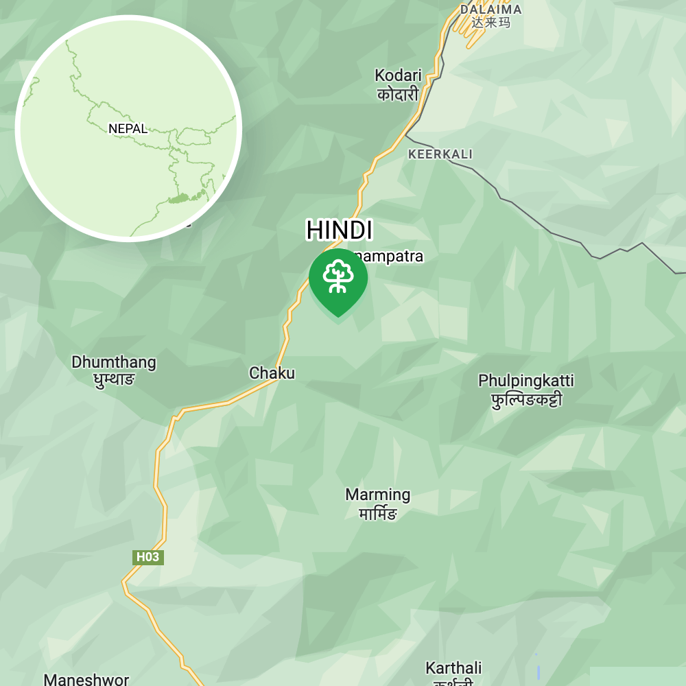 Restoring Native Forests In Nepal Skooteco Climate Project